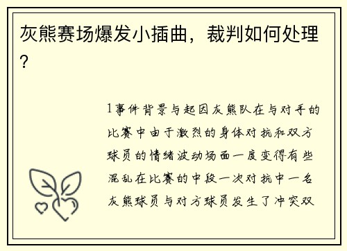 灰熊赛场爆发小插曲，裁判如何处理？